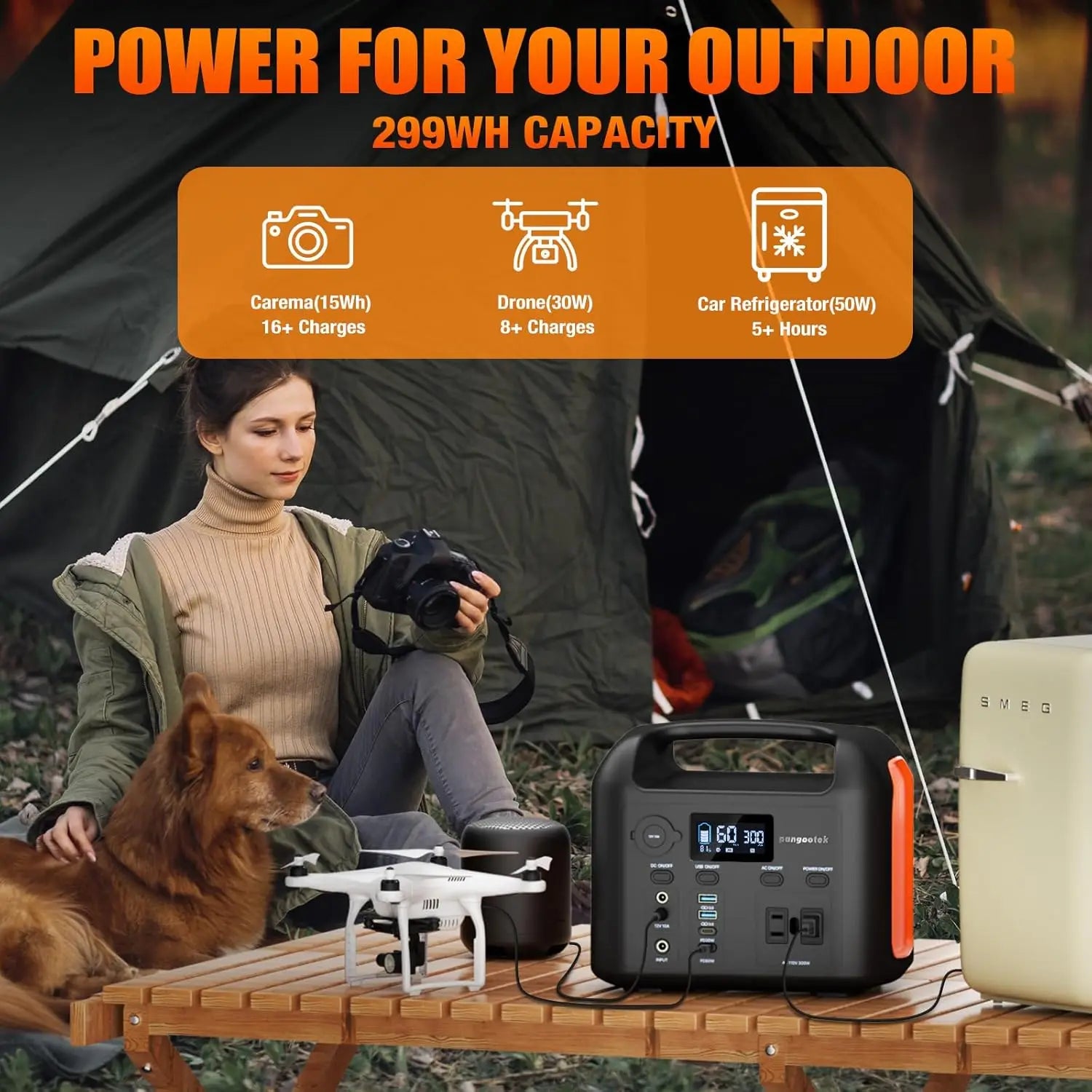 Portable Power Station 300W LiFePO4 Solar Generator with Pure Sine Wave AC Outlets, Fast PD Charging for CPAP Outdoor Camping